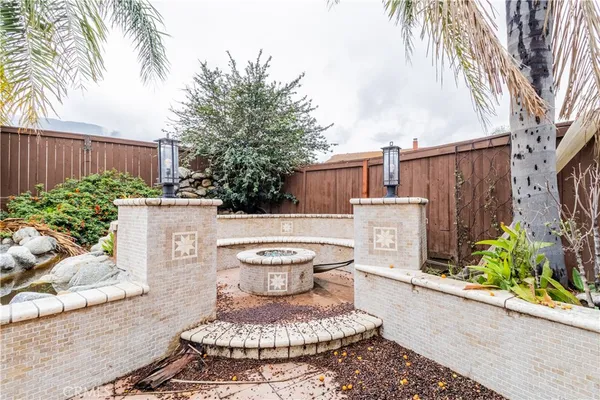 a view of a backyard with plants and a tree