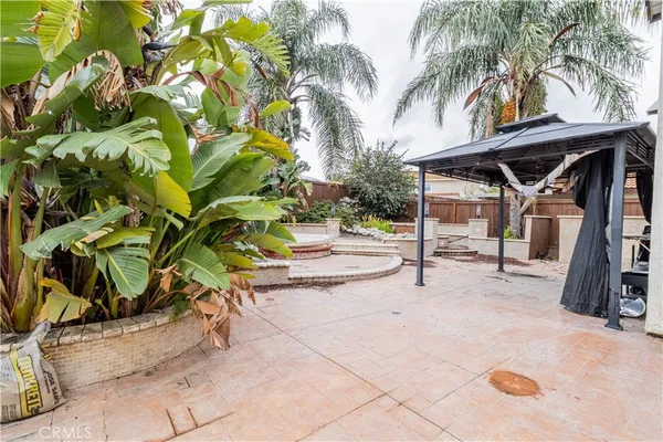 a view of backyard with wheel chair potted plants and large tree