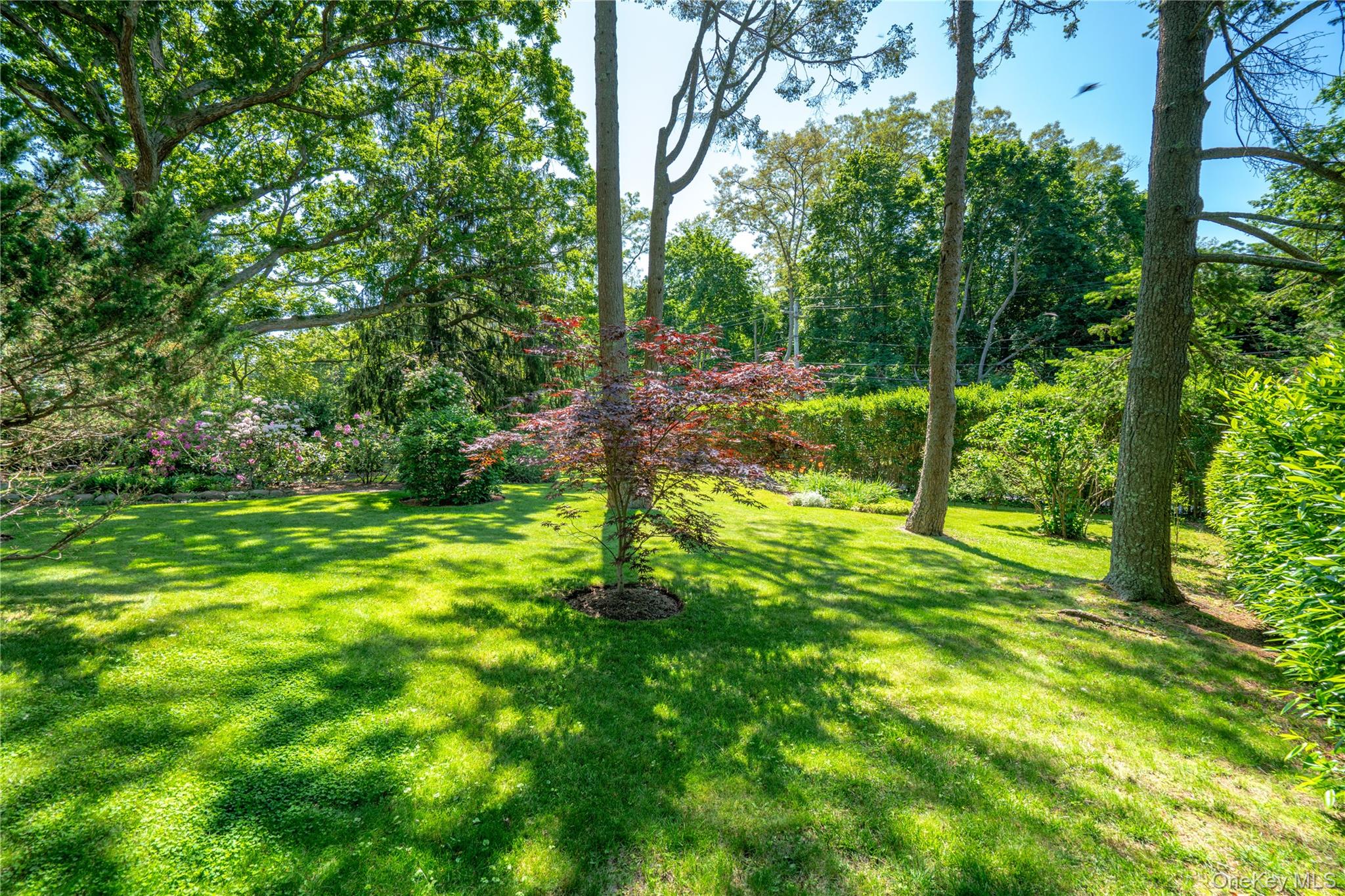 750 Reeve Avenue Mattituck, NY 11952 - Photo 8 of 41 a view of yard with small swimming pool