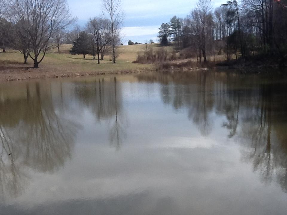 3315 Retreat Road Boones Mill, VA 24065 - Photo 10 of 57 IMG_3088