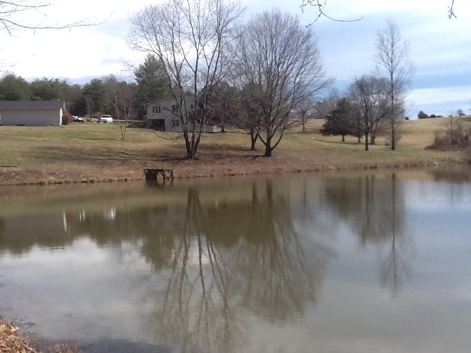 3315 Retreat Road Boones Mill, VA 24065 - Photo 11 of 57 a view of river covered with yard and trees