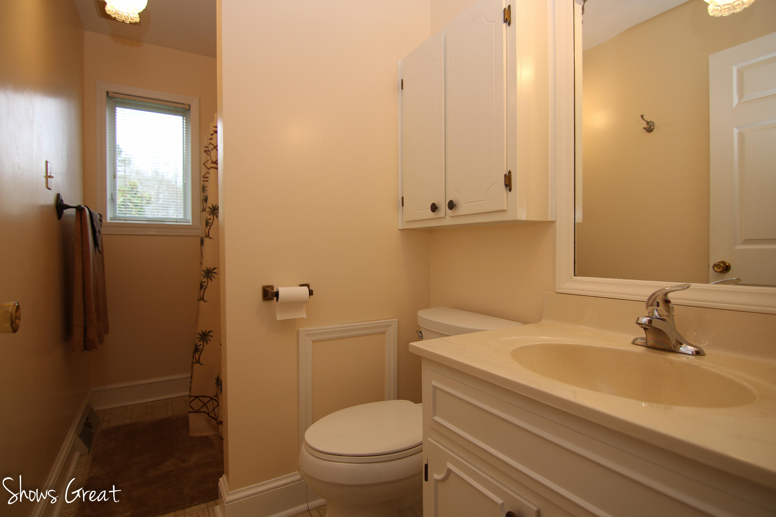 3315 Retreat Road Boones Mill, VA 24065 - Photo 38 of 57 a bathroom with a sink a toilet and shower