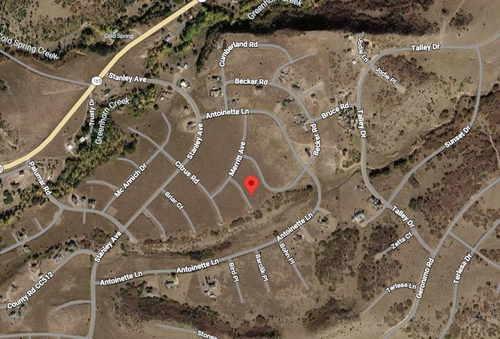 Lot 161 Avis Place Rye, CO 81069 - Photo 14 of 14
