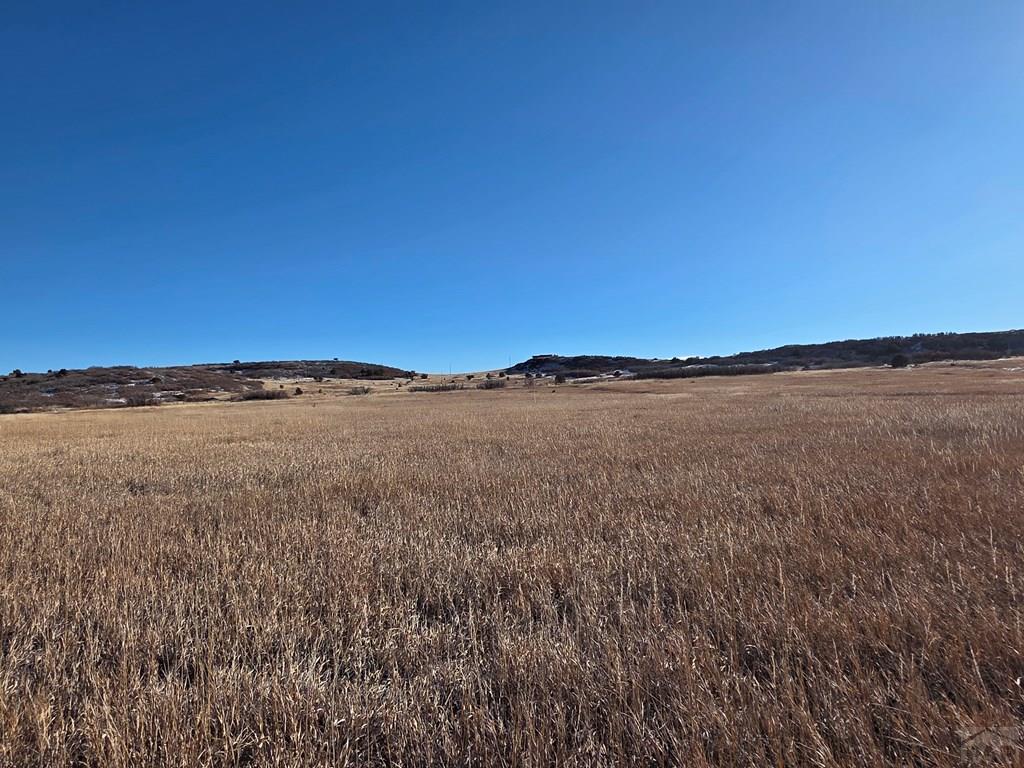 Lot 161 Avis Place Rye, CO 81069 - Photo 4 of 14 a view of lake and mountain