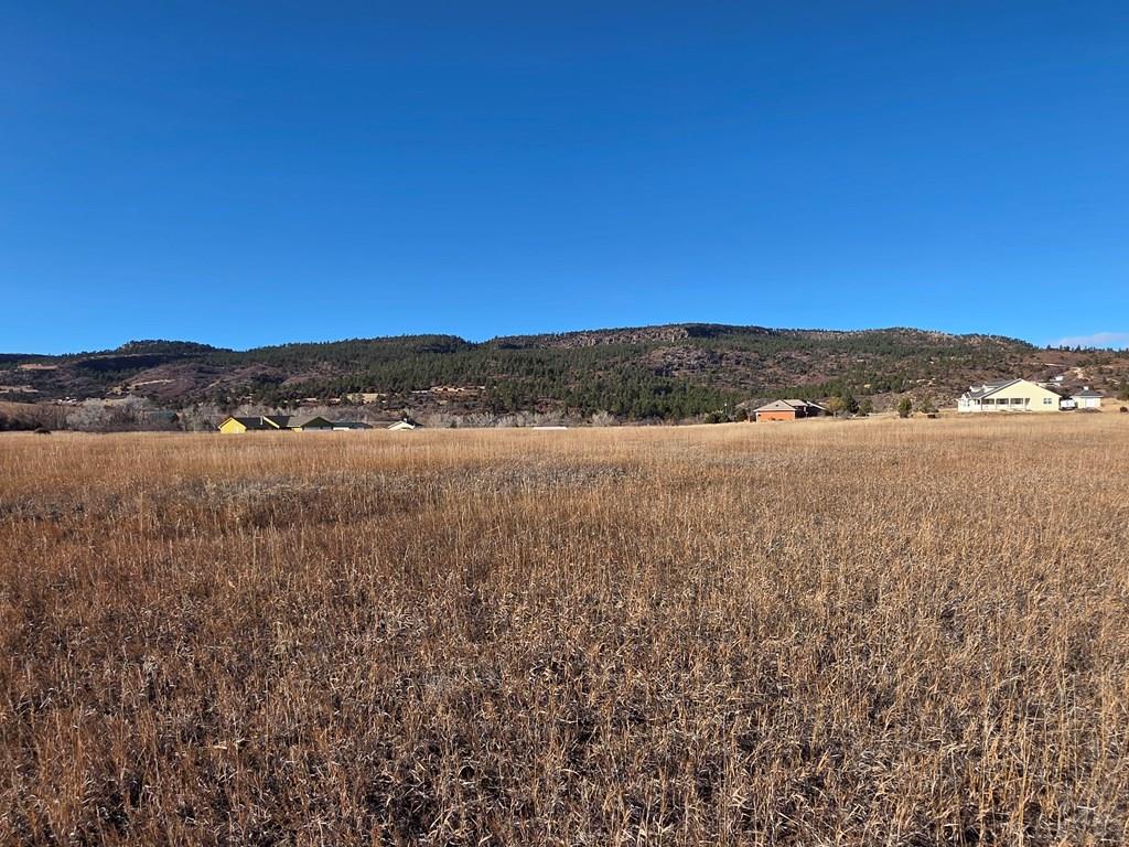 Lot 161 Avis Place Rye, CO 81069 - Photo 8 of 14 a view of lake and mountain