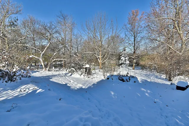 $550,000 | 532 66th Street, Downers Grove, IL 60516