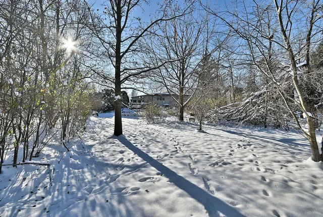 $550,000 | 532 66th Street, Downers Grove, IL 60516