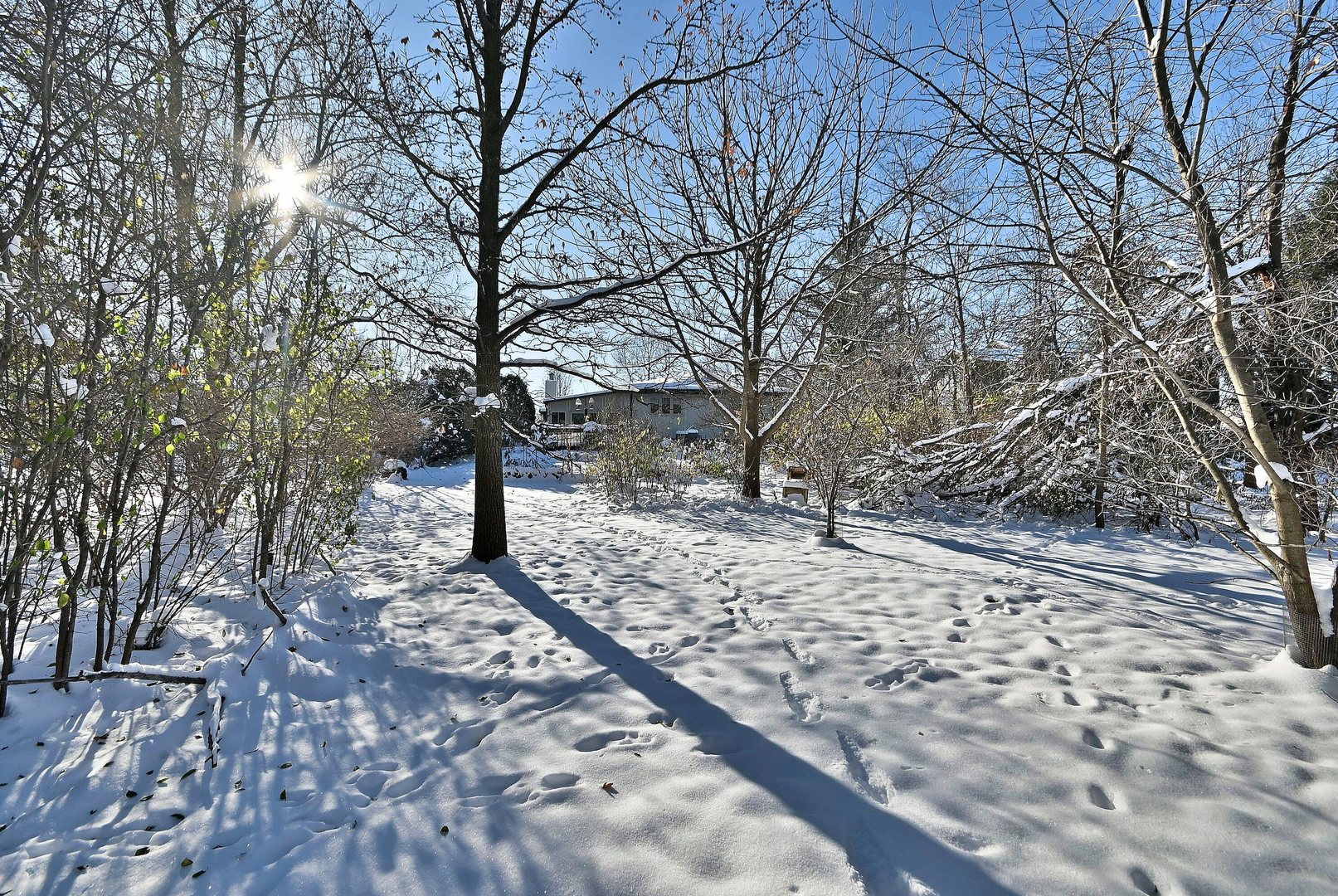 532 66th Street Downers Grove, IL 60516 - Photo 31 of 35