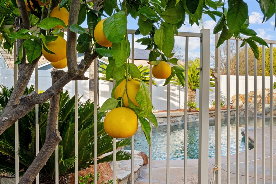 31202 Amsterdam Road Winchester, CA 92596 - Photo 49 of 52