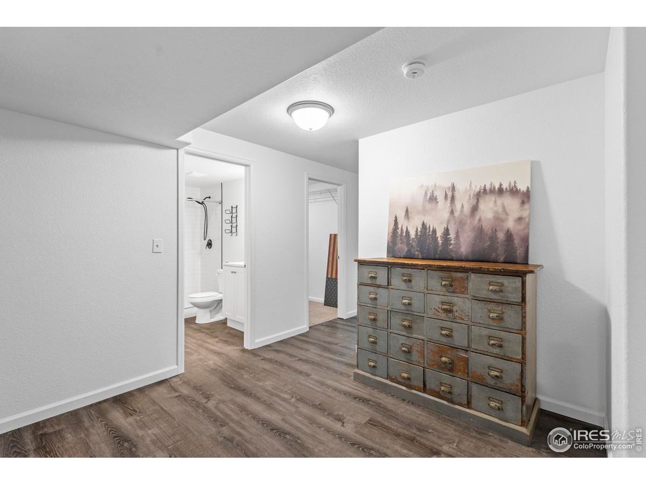 1010 Axis Drive Severance, CO 80550 - Photo 26 of 33 a view of a hallway with wooden floor and cabinet