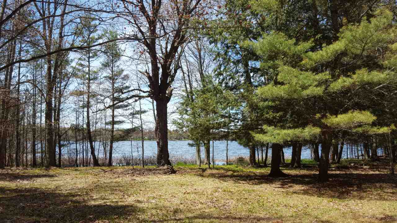 7600 Chapman Road Alden, MI 49612 - Photo 13 of 41 1859119-12.JPG
