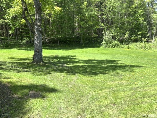 11806 Wyandale Road Concord, NY 14141 - Photo 8 of 34 Backyard area