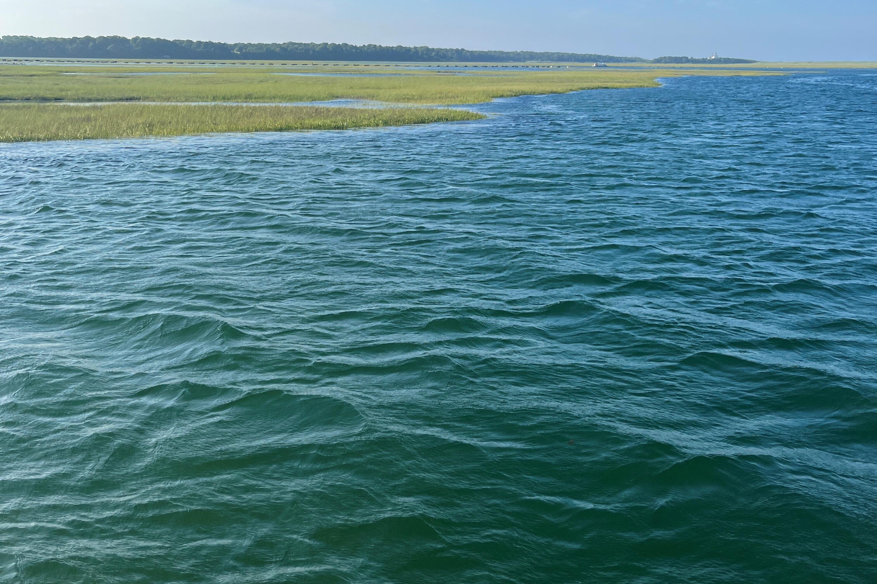 150 Old State Highway, Unit COMPOUND Eastham, MA 02642 - Photo 51 of 53 Boating