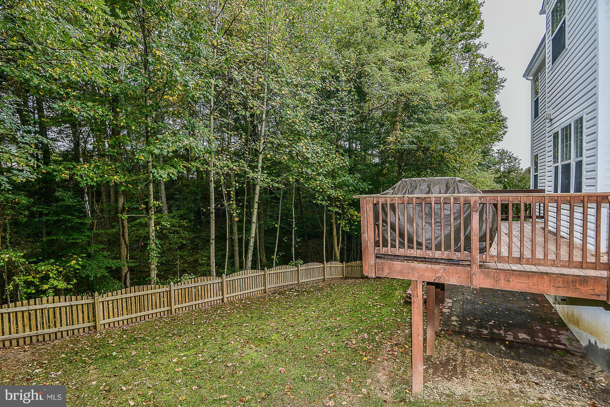 34 Ridge Pointe Lane Fredericksburg, VA 22405 - Photo 25 of 28 Back yard