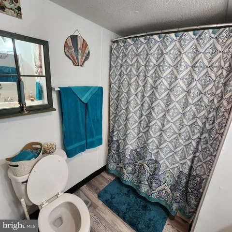 a bathroom with a toilet and a shower curtain