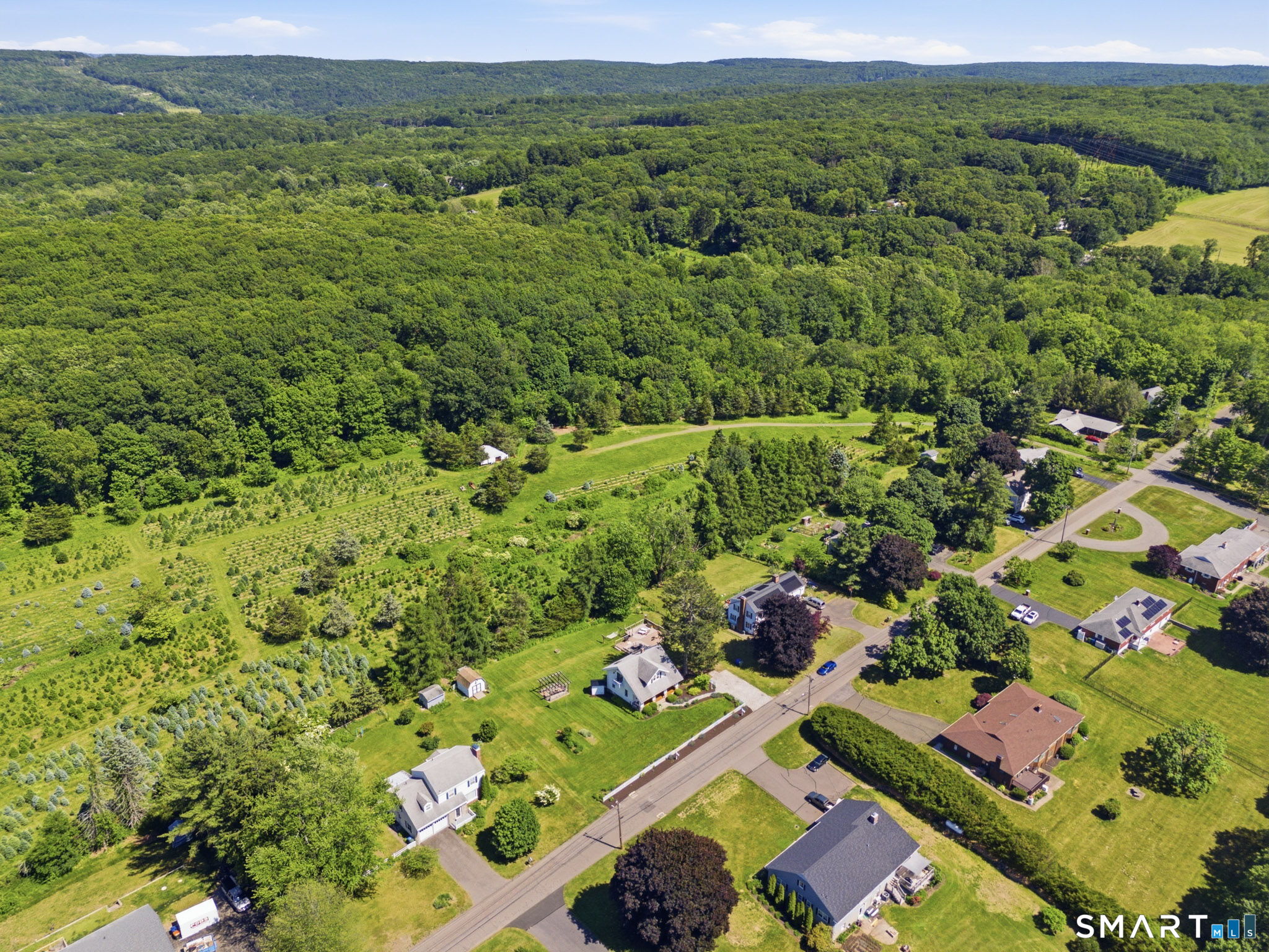 364 Coleman Road Middletown, CT 06457 - Photo 35 of 40 Tree farm behind the house