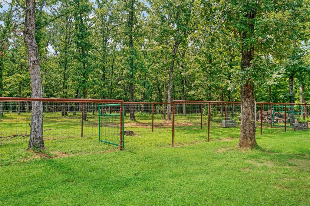 821 County Road Paris, TX 75462 - Photo 34 of 40 Expansive grassy area featuring a wire fence with a green gate, mature trees, and dense wooded surroundings