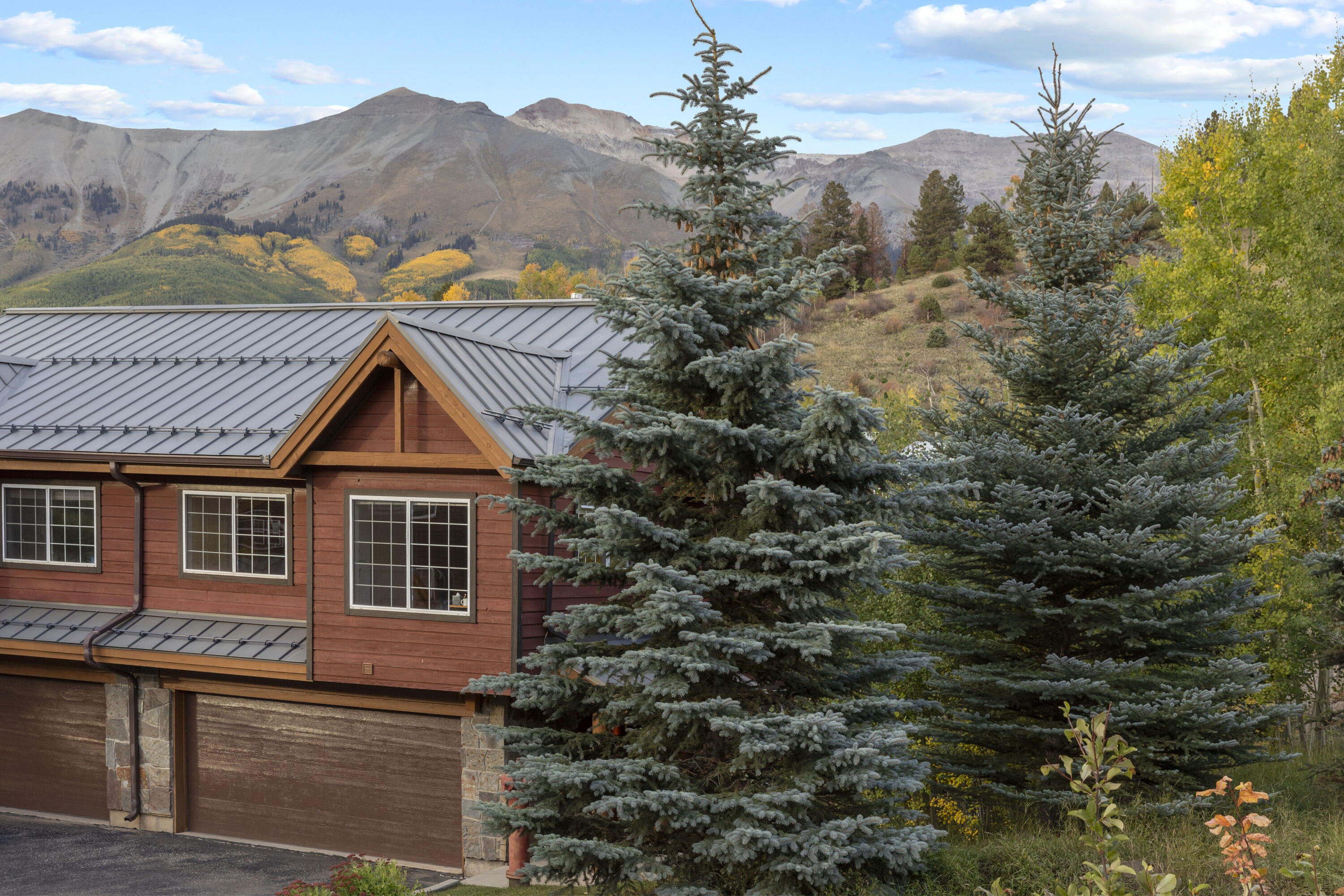 302 Adams Ranch Road, Unit 1 Mountain Village, CO 81435 - Photo 8 of 34 C12A9965