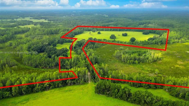 a view of an outdoor space