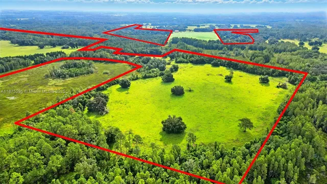 a view of yard with green space