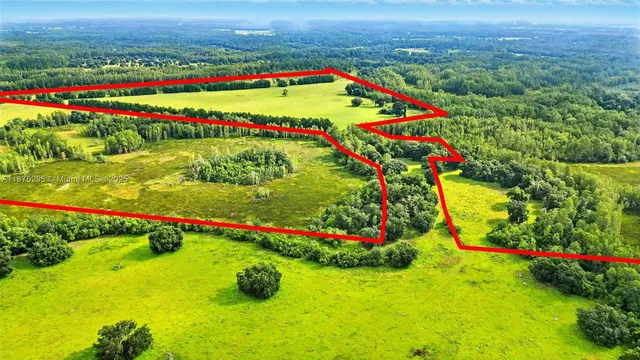 a view of yard with swimming pool