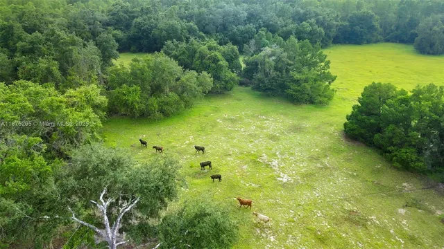 a view of a lush green field near a lake