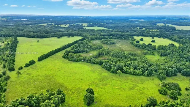 an aerial view of a residential houses with outdoor space and swimming pool