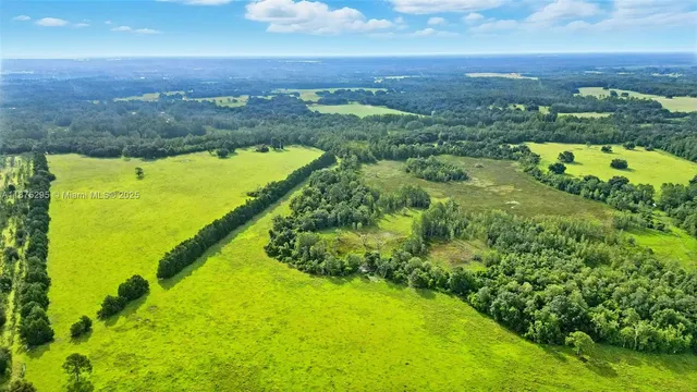 a view of a garden with an ocean