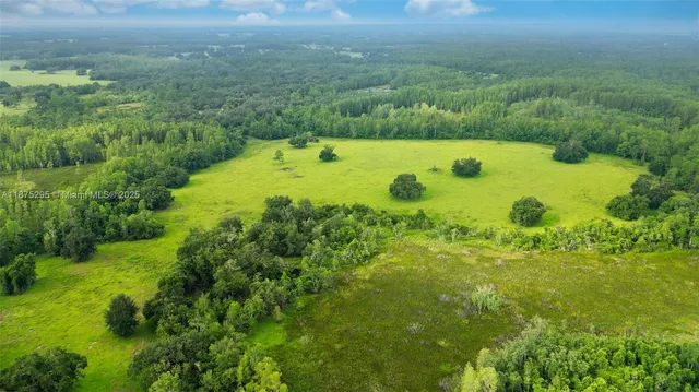 a view of an ocean and yard