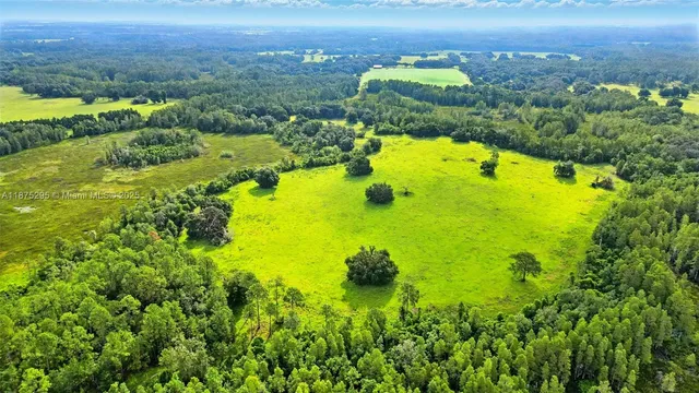 a view of a lake with a mountain