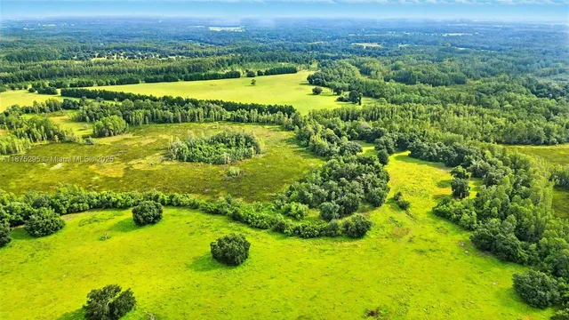 a view of a big yard with large trees