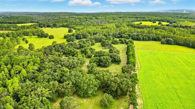 a view of a big yard with lots of green space