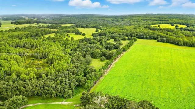 a backyard of a house with lots of green space