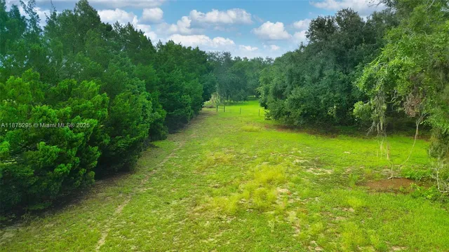 a view of yard with green space
