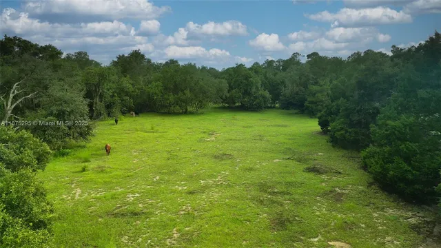 a view of a garden with a lake