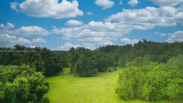a big yard with lots of green space and trees