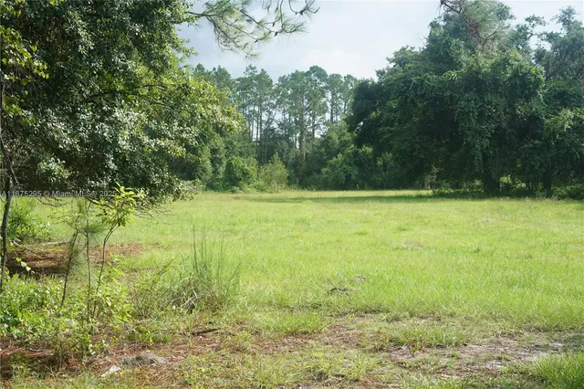 a view of a grassy field