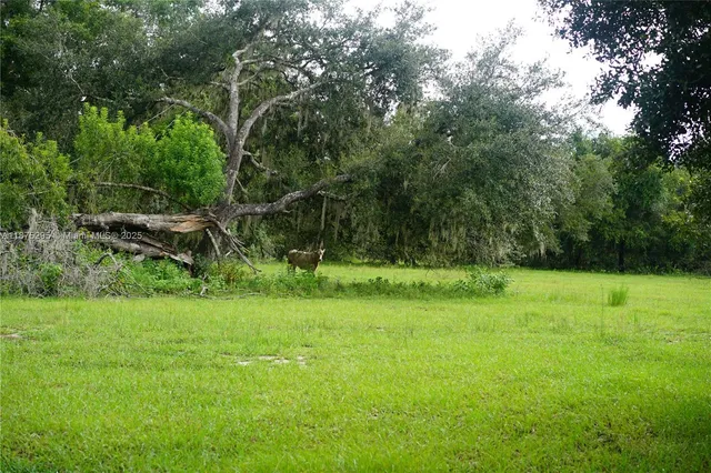 a view of garden with an outdoor seating