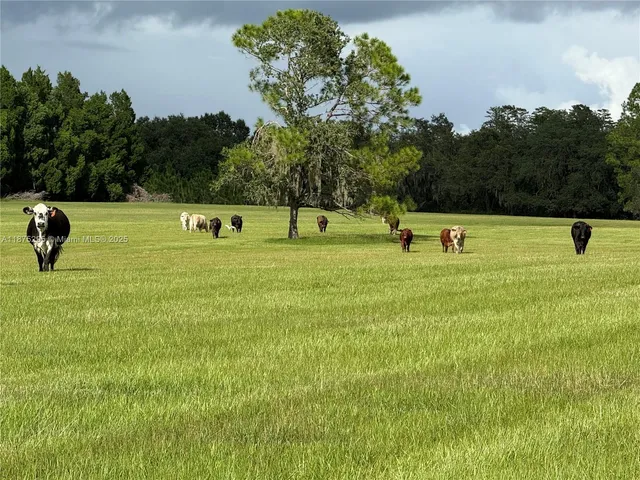 an aerial view of a house with a backyard