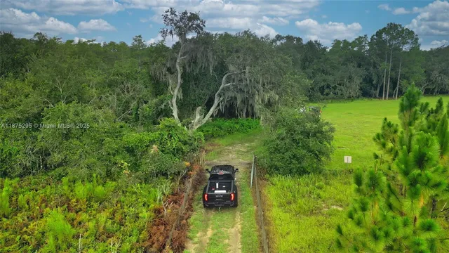 a view of a garden from a balcony