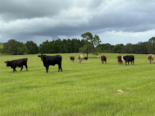 $9,499,977 | 4954 Lake Erie Road, Groveland, FL 34736