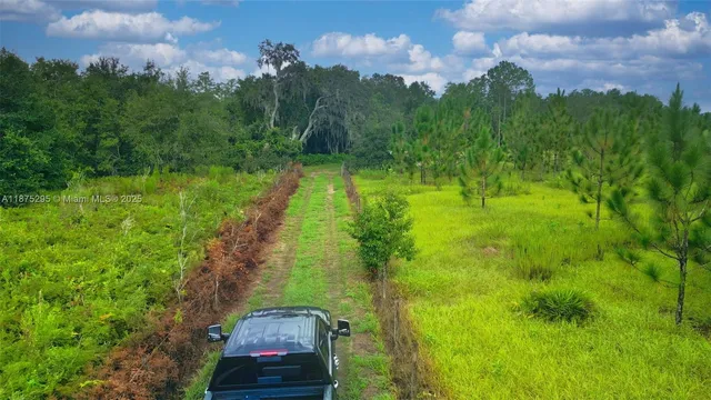 a view of a yard with plants