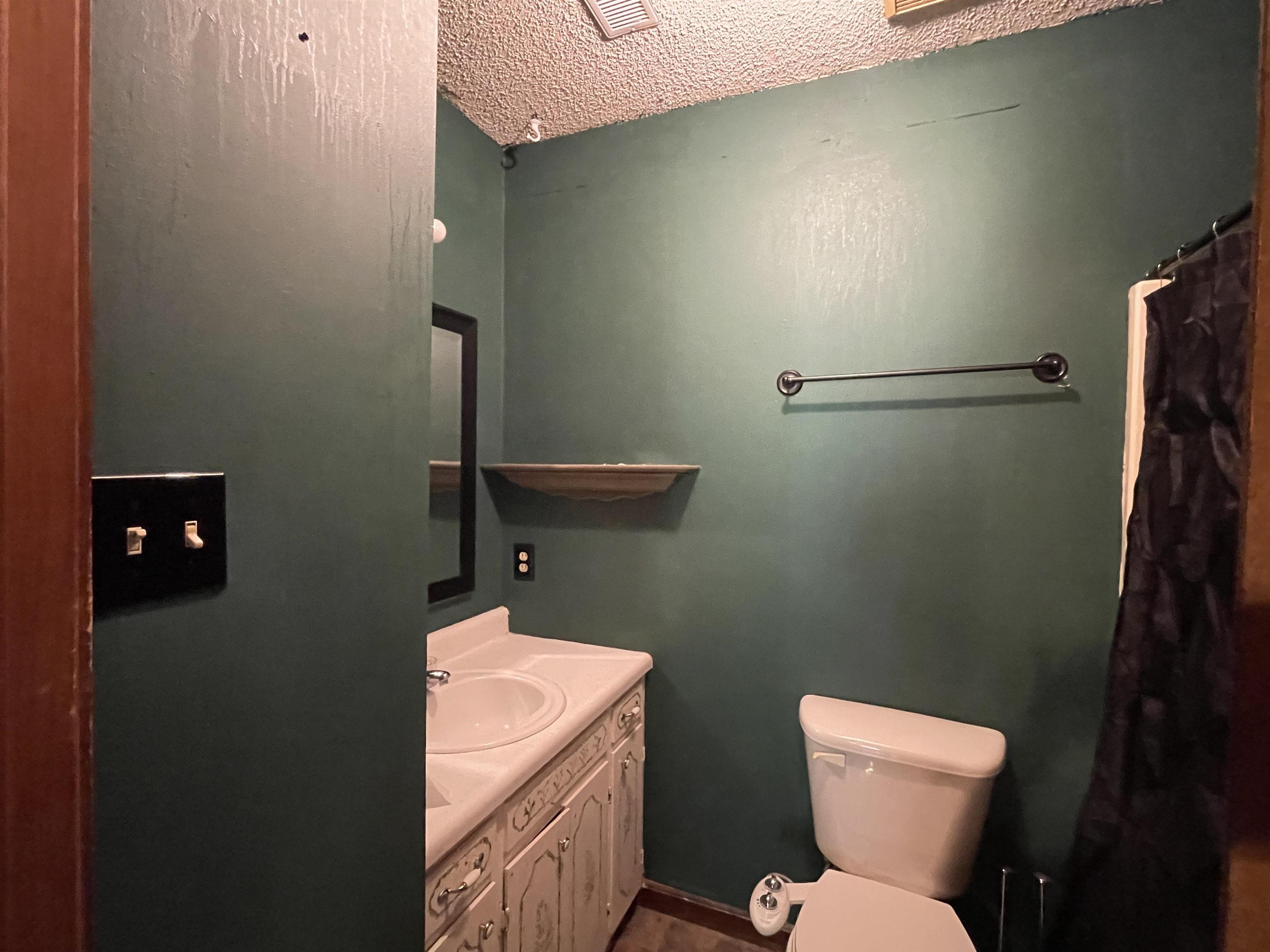 2349 Snyder Bluff Road Ripley, TN 38063 - Photo 17 of 21 Bathroom featuring vanity, a textured ceiling, and a shower with curtain