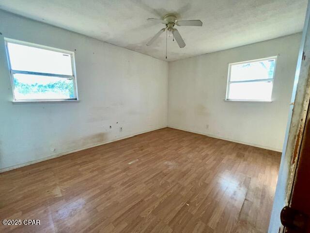 3226 Paulk Road Marianna, FL 32446 - Photo 6 of 13