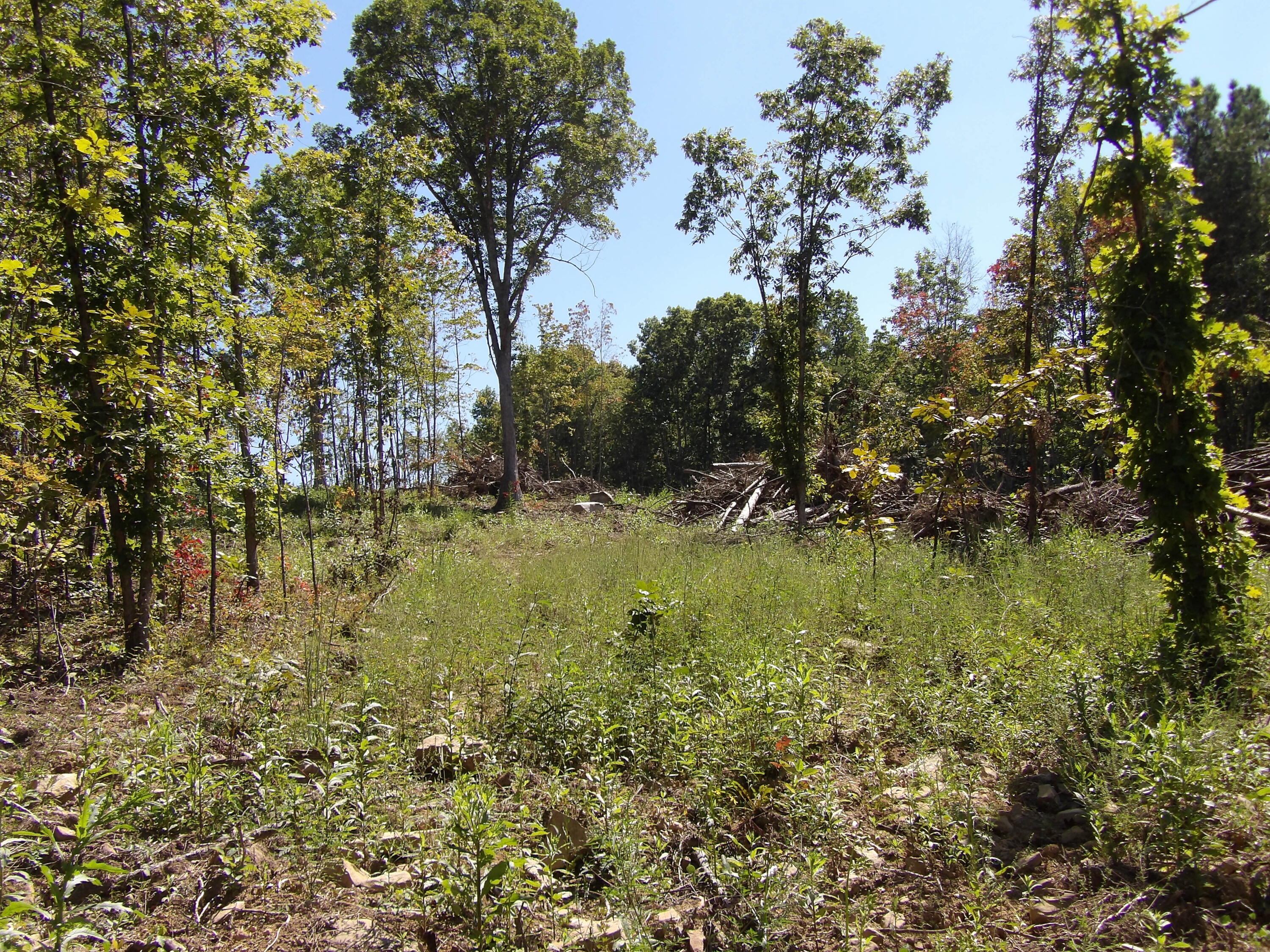 100 Summer City Road Evensville, TN 37332 - Photo 24 of 33 100_1951