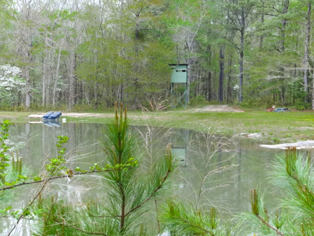 1318 Sycamore Road Mount Croghan, SC 29727 - Photo 1 of 24