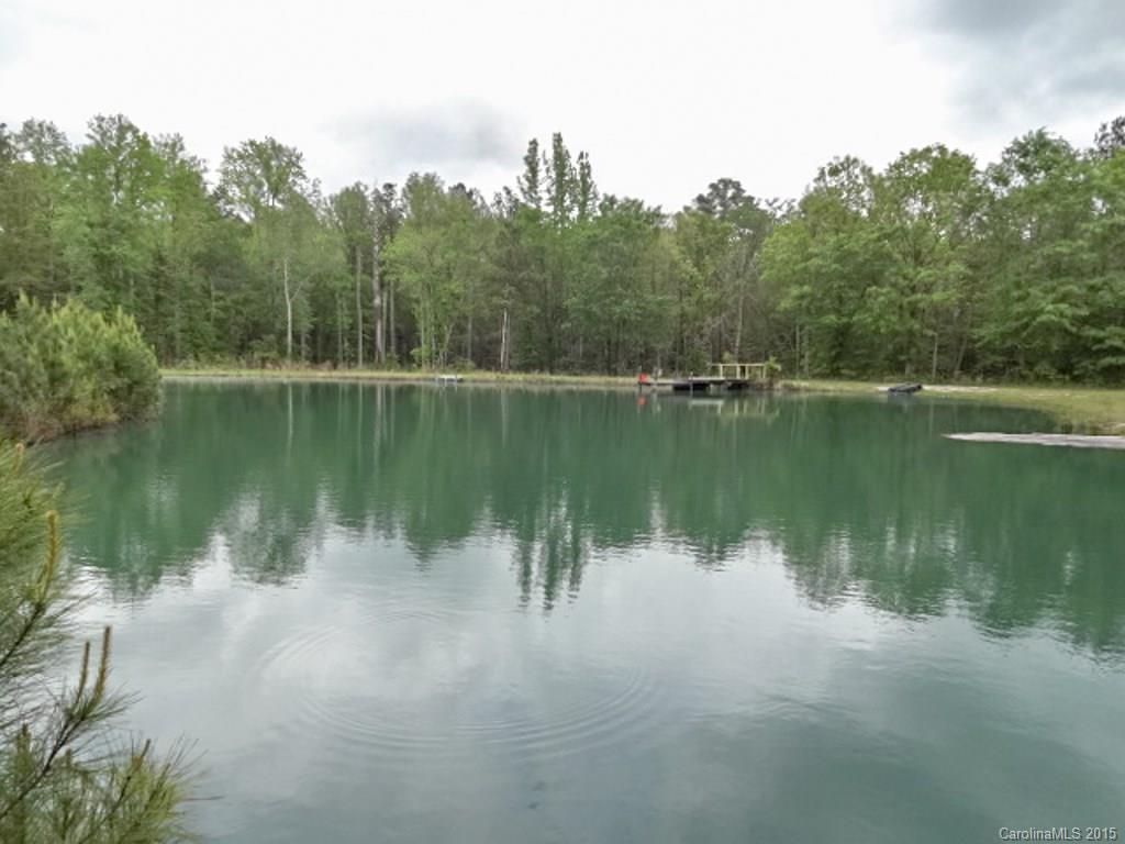 1318 Sycamore Road Mount Croghan, SC 29727 - Photo 2 of 24