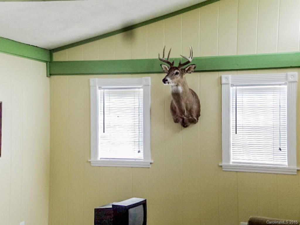 1318 Sycamore Road Mount Croghan, SC 29727 - Photo 14 of 24