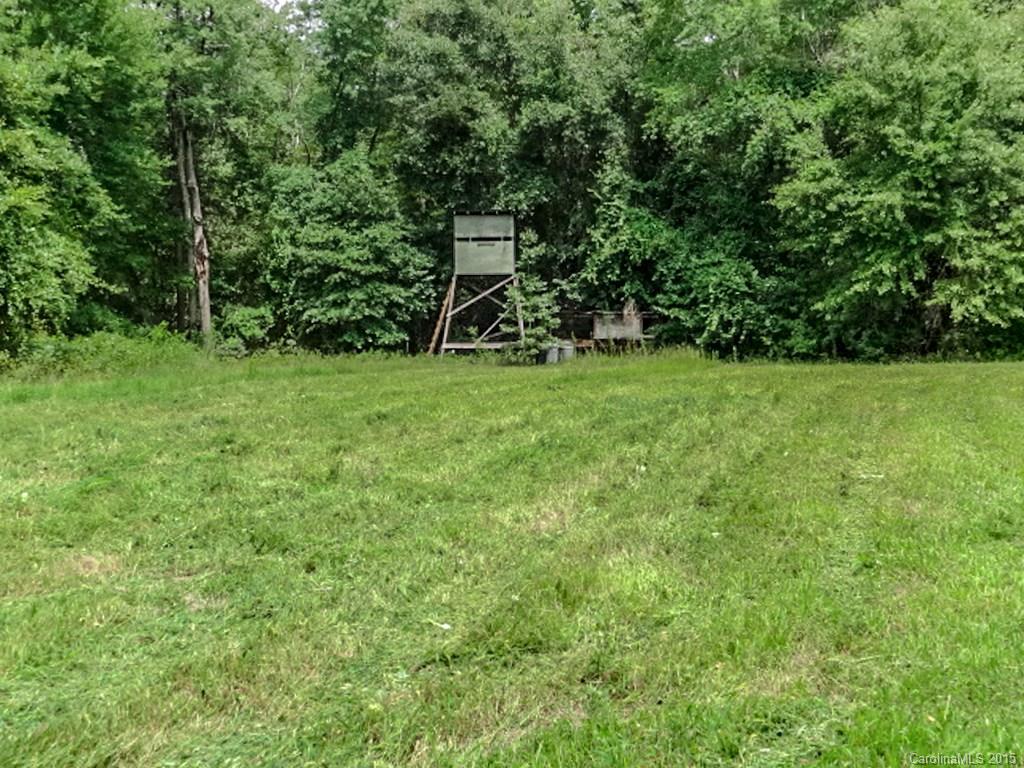 1318 Sycamore Road Mount Croghan, SC 29727 - Photo 17 of 24