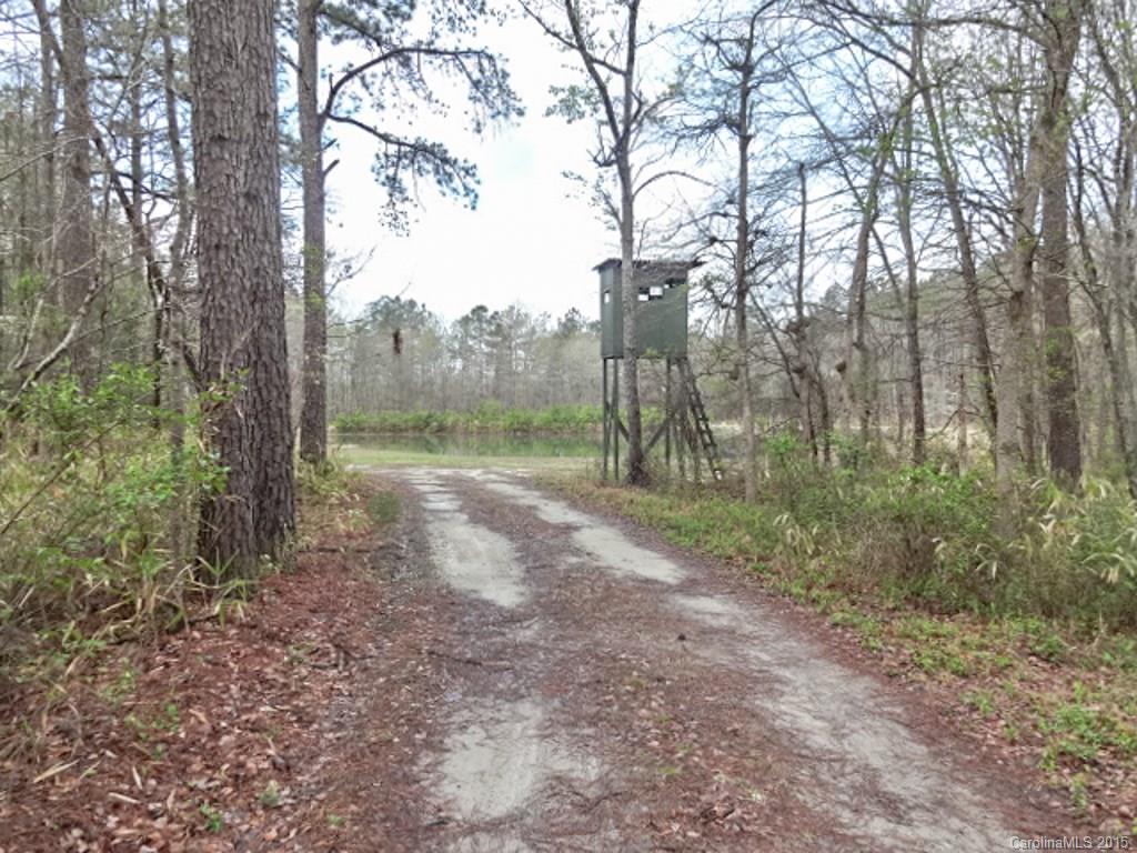 1318 Sycamore Road Mount Croghan, SC 29727 - Photo 18 of 24